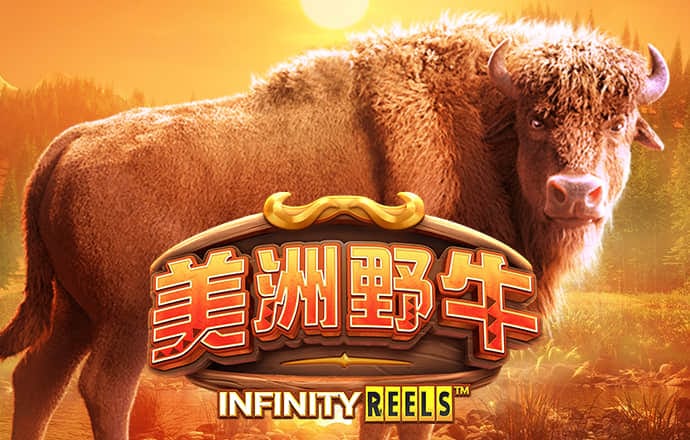 凯运体育官网登录入口截图2